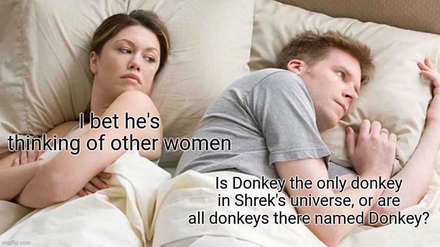 Donkey? | I bet he's thinking of other women; Is Donkey the only donkey in Shrek's universe, or are all donkeys there named Donkey? | image tagged in memes,i bet he's thinking about other women | made w/ Imgflip meme maker