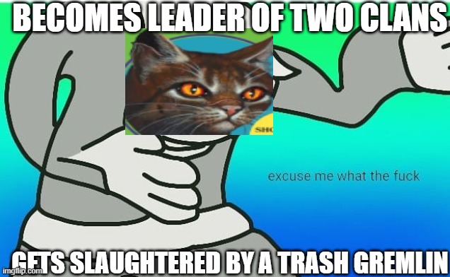 Tigerstar taken out by gremlin | BECOMES LEADER OF TWO CLANS; GETS SLAUGHTERED BY A TRASH GREMLIN | image tagged in fallout boy excuse me wyf | made w/ Imgflip meme maker