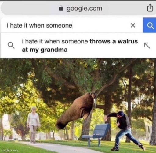 I hate it when someone throws a walrus at my Grandma | image tagged in i hate it when someone throws a walrus at my grandma,google search,lol,funny,memes | made w/ Imgflip meme maker