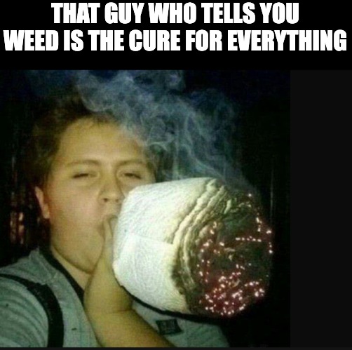 "You see man, weed is from the earth..." |  THAT GUY WHO TELLS YOU WEED IS THE CURE FOR EVERYTHING | image tagged in weed,smoke weed everyday,smoking weed,smoke weed,weed man | made w/ Imgflip meme maker