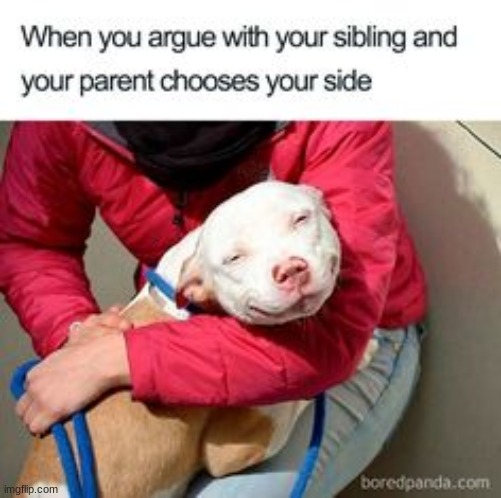 Relatable | image tagged in memes,funny,dogs,relatable,argument | made w/ Imgflip meme maker