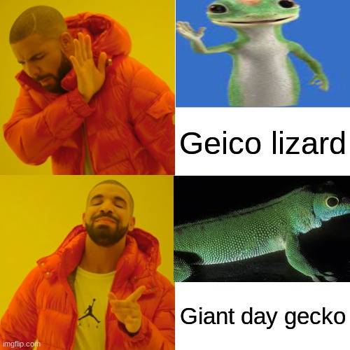 Drake Hotline Bling Meme | Geico lizard; Giant day gecko | image tagged in memes,drake hotline bling | made w/ Imgflip meme maker