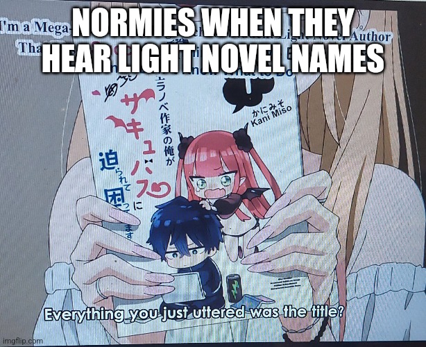 Meme | NORMIES WHEN THEY HEAR LIGHT NOVEL NAMES | image tagged in light novel | made w/ Imgflip meme maker