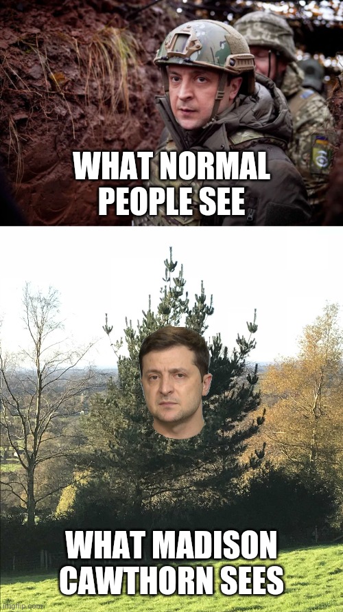 WHAT NORMAL PEOPLE SEE; WHAT MADISON CAWTHORN SEES | image tagged in zelensky fafo,angry tree,madison cawthorn,putin apologists,crazy trumpists | made w/ Imgflip meme maker