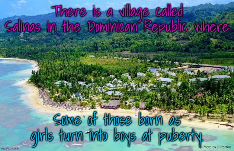 An enzyme imbalance. |  There is a village called Salinas in the Dominican Republic where; Some of those born as girls turn into boys at puberty. | image tagged in dominican republic,gender,bender,in real life | made w/ Imgflip meme maker