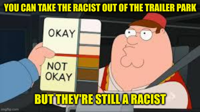 When you complain about the groups you tried to exclude acting like you are the bad guy | YOU CAN TAKE THE RACIST OUT OF THE TRAILER PARK; BUT THEY'RE STILL A RACIST | image tagged in racist peter griffin family guy | made w/ Imgflip meme maker