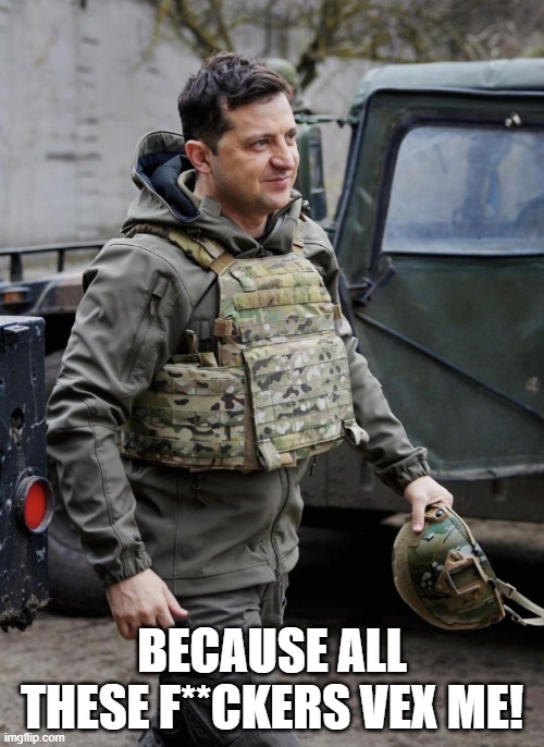 Volodymyr Zelenskyy | BECAUSE ALL THESE F**CKERS VEX ME! | image tagged in volodymyr zelenskyy | made w/ Imgflip meme maker