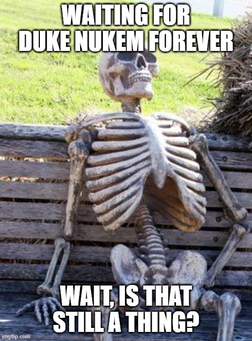the last piece of gaming news.... | WAITING FOR DUKE NUKEM FOREVER; WAIT, IS THAT STILL A THING? | image tagged in memes,waiting skeleton | made w/ Imgflip meme maker