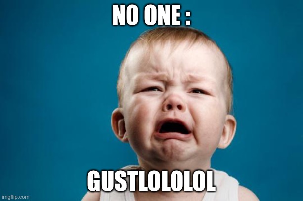 GUSTLOLOLOL CRYING |  NO ONE :; GUSTLOLOLOL | image tagged in baby crying | made w/ Imgflip meme maker