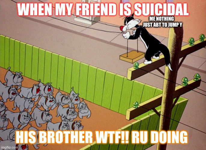 stupid | WHEN MY FRIEND IS SUICIDAL; ME NOTHING 
 JUST ABT TO JUMP Y; HIS BROTHER WTF!! RU DOING | image tagged in grumpy cat | made w/ Imgflip meme maker