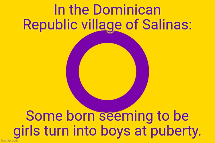 An enzyme deficiency causes it. (owner note: interesting!) | In the Dominican Republic village of Salinas:; Some born seeming to be girls turn into boys at puberty. | image tagged in intersex flag,gender,bender,in real life | made w/ Imgflip meme maker