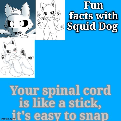 Fun facts with squid dog | Your spinal cord is like a stick, it's easy to snap | image tagged in fun facts with squid dog | made w/ Imgflip meme maker