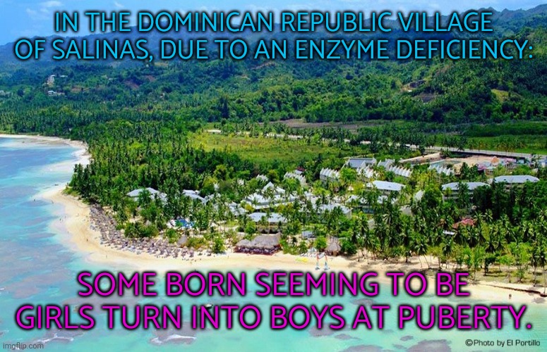 A fun fact for transphobes. |  IN THE DOMINICAN REPUBLIC VILLAGE OF SALINAS, DUE TO AN ENZYME DEFICIENCY:; SOME BORN SEEMING TO BE GIRLS TURN INTO BOYS AT PUBERTY. | image tagged in dominican republic,gender,bender,in real life | made w/ Imgflip meme maker