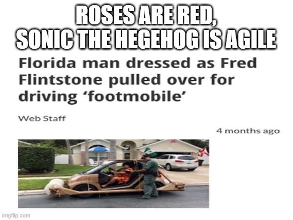 meme | ROSES ARE RED,
SONIC THE HEGEHOG IS AGILE | image tagged in funny memes | made w/ Imgflip meme maker