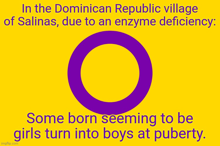 A fun fact for transphobes. | In the Dominican Republic village of Salinas, due to an enzyme deficiency:; Some born seeming to be girls turn into boys at puberty. | image tagged in intersex flag,gender,bender,in real life | made w/ Imgflip meme maker
