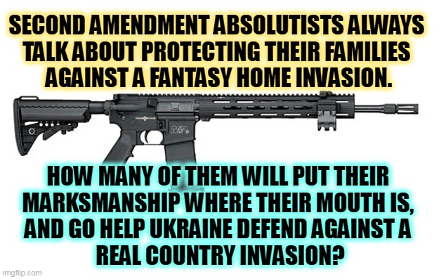 Up for a real shoot-out? | SECOND AMENDMENT ABSOLUTISTS ALWAYS 
TALK ABOUT PROTECTING THEIR FAMILIES 
AGAINST A FANTASY HOME INVASION. HOW MANY OF THEM WILL PUT THEIR 
MARKSMANSHIP WHERE THEIR MOUTH IS, 
AND GO HELP UKRAINE DEFEND AGAINST A 
REAL COUNTRY INVASION? | image tagged in s w assault rifle,second amendment,family,invasion,ukraine | made w/ Imgflip meme maker