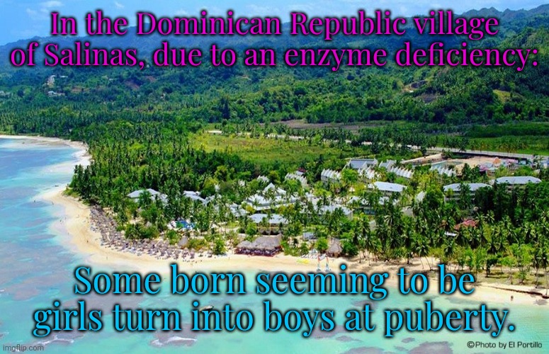 A fun fact for transphobes. |  In the Dominican Republic village of Salinas, due to an enzyme deficiency:; Some born seeming to be girls turn into boys at puberty. | image tagged in dominican republic,gender,bender,in real life | made w/ Imgflip meme maker