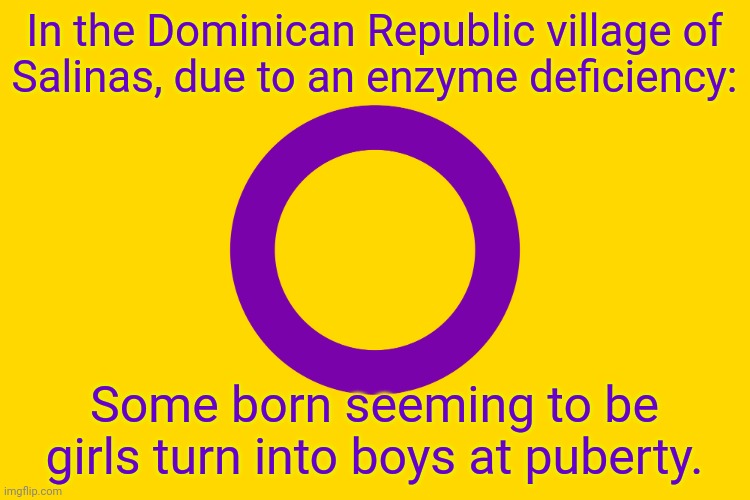 A fun fact for transphobes. | In the Dominican Republic village of
Salinas, due to an enzyme deficiency:; Some born seeming to be girls turn into boys at puberty. | image tagged in intersex flag,gender,bender,in real life | made w/ Imgflip meme maker