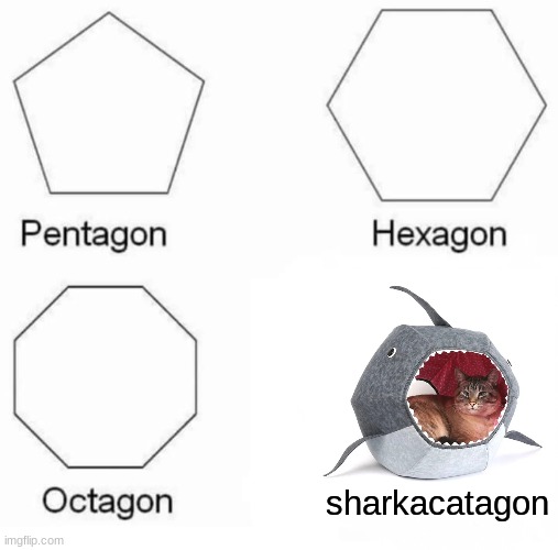 sharkacatagon | sharkacatagon | image tagged in memes,pentagon hexagon octagon,funny,cats,sharks,derp | made w/ Imgflip meme maker