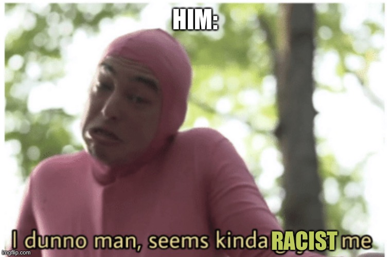 HIM: RACIST | image tagged in idk man seems kinda gay | made w/ Imgflip meme maker