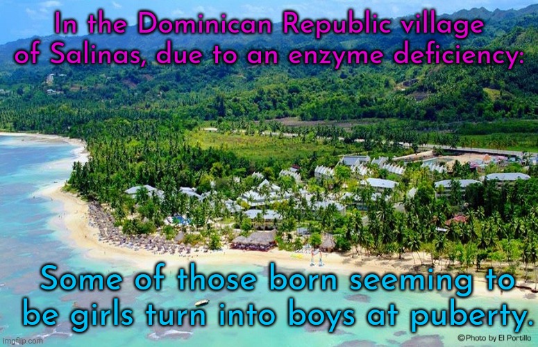 A fun fact for transphobes. |  In the Dominican Republic village of Salinas, due to an enzyme deficiency:; Some of those born seeming to be girls turn into boys at puberty. | image tagged in dominican republic,gender,bender,in real life | made w/ Imgflip meme maker