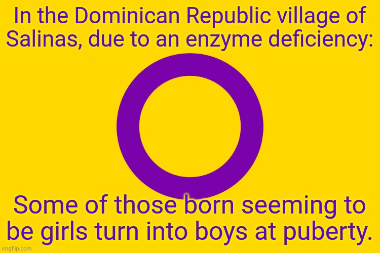 A fun fact for transphobes. |  In the Dominican Republic village of
Salinas, due to an enzyme deficiency:; Some of those born seeming to be girls turn into boys at puberty. | image tagged in intersex flag,gender,bender,in real life | made w/ Imgflip meme maker
