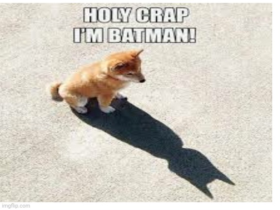 Nice | image tagged in dog,batman | made w/ Imgflip meme maker
