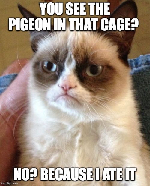 Grumpy Cat Meme | YOU SEE THE PIGEON IN THAT CAGE? NO? BECAUSE I ATE IT | image tagged in memes,grumpy cat | made w/ Imgflip meme maker