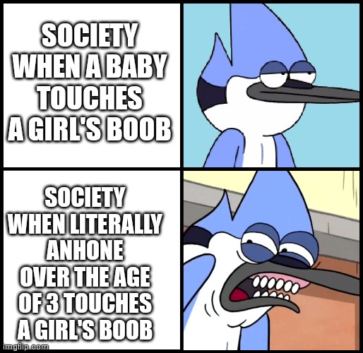 Mordecai disgusted | SOCIETY WHEN A BABY TOUCHES A GIRL'S BOOB SOCIETY WHEN LITERALLY ANHONE OVER THE AGE OF 3 TOUCHES A GIRL'S BOOB | image tagged in mordecai disgusted | made w/ Imgflip meme maker