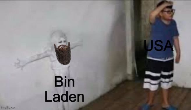 Girl blends into wall | USA Bin Laden | image tagged in girl blends into wall | made w/ Imgflip meme maker