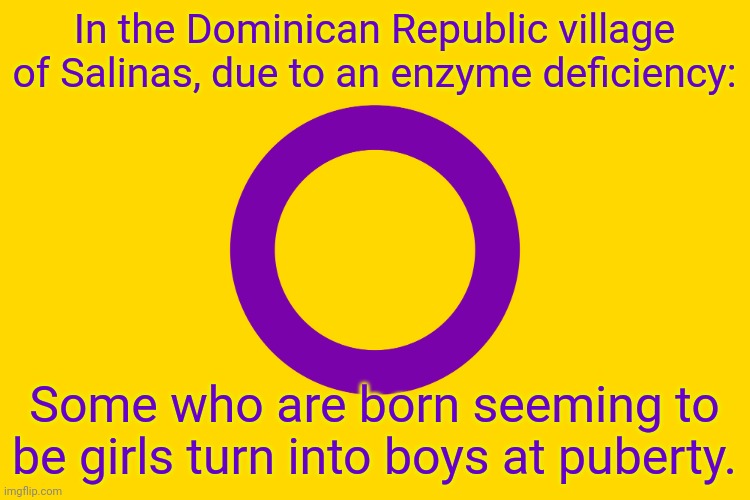 A fun fact for transphobes. | In the Dominican Republic village of Salinas, due to an enzyme deficiency:; Some who are born seeming to be girls turn into boys at puberty. | image tagged in intersex flag,gender,bender,in real life | made w/ Imgflip meme maker