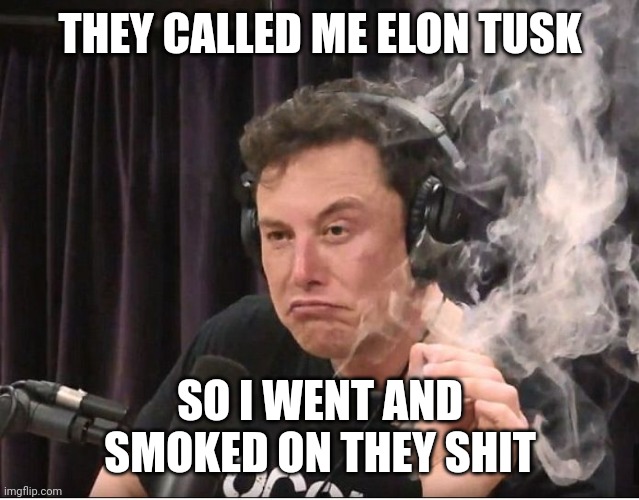 Smoking on they shit | THEY CALLED ME ELON TUSK; SO I WENT AND SMOKED ON THEY SHIT | image tagged in elon musk smoking a joint | made w/ Imgflip meme maker