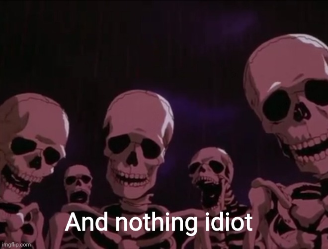 Hater skeletons | And nothing idiot | image tagged in hater skeletons | made w/ Imgflip meme maker