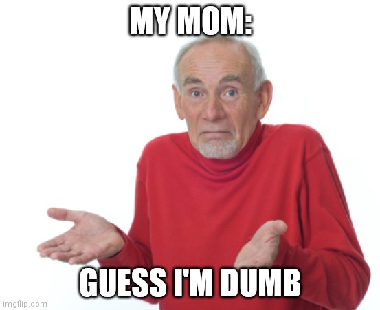 Gues I'll Hype | MY MOM: GUESS I'M DUMB | image tagged in gues i'll hype | made w/ Imgflip meme maker