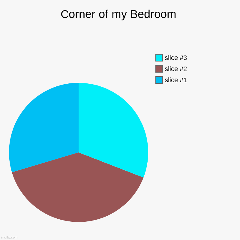 Corner of my Room | Corner of my Bedroom | | image tagged in charts,pie charts | made w/ Imgflip chart maker
