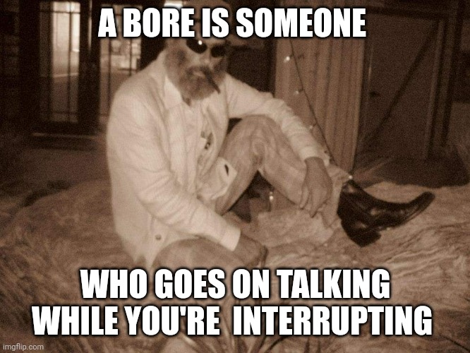 Bert the Hobe sayings | A BORE IS SOMEONE; WHO GOES ON TALKING WHILE YOU'RE  INTERRUPTING | image tagged in bert,meme,pun | made w/ Imgflip meme maker