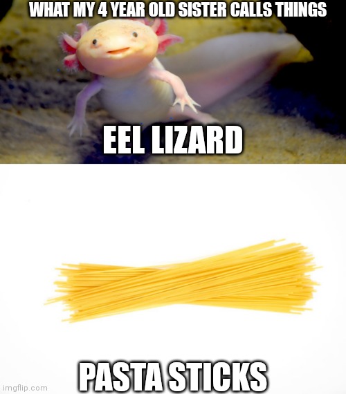 WHAT MY 4 YEAR OLD SISTER CALLS THINGS; EEL LIZARD; PASTA STICKS | made w/ Imgflip meme maker