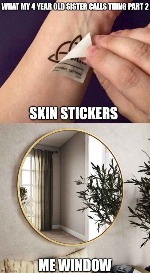 WHAT MY 4 YEAR OLD SISTER CALLS THING PART 2; SKIN STICKERS; ME WINDOW | made w/ Imgflip meme maker