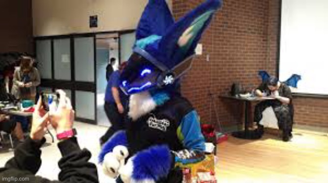 Top half reveal (eventually I’ll make this joke with a fur suit that I own) | made w/ Imgflip meme maker