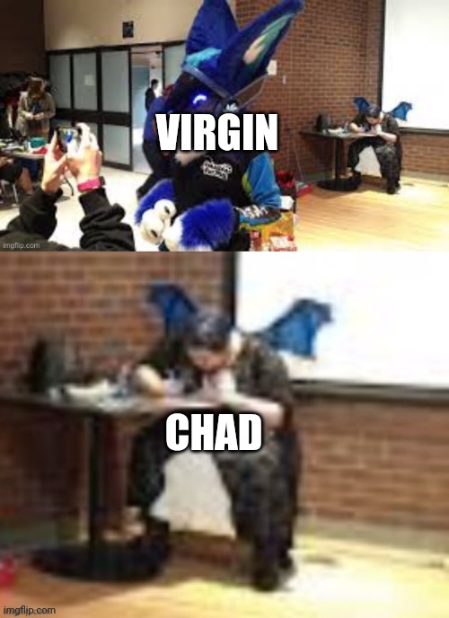 Furry vs giga Chad | VIRGIN; CHAD | image tagged in furry vs giga chad | made w/ Imgflip meme maker