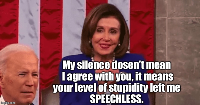Nancy Pelosi - Joe Biden | My silence dosen’t mean
 I agree with you, it means
your level of stupidity left me
SPEECHLESS. | image tagged in nancy pelosi rubbing hands,stupid,speechless | made w/ Imgflip meme maker