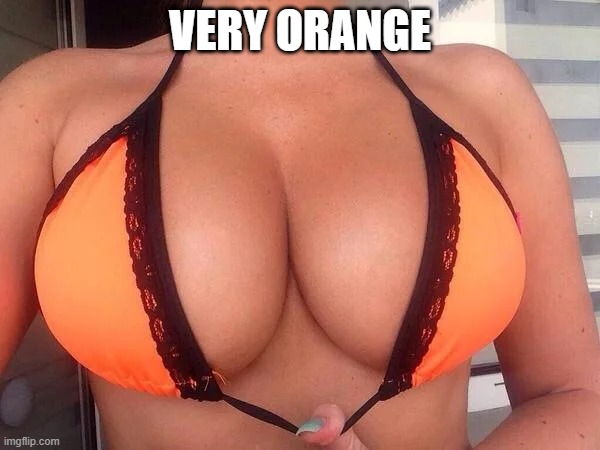 Cantaloupe | VERY ORANGE | image tagged in boobs | made w/ Imgflip meme maker