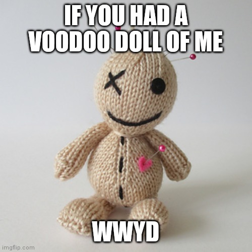 If you shove me where the sun doesn't shine i will- | IF YOU HAD A VOODOO DOLL OF ME; WWYD | image tagged in voodoo doll meme | made w/ Imgflip meme maker