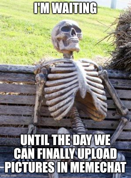 That'll Be Neat | I'M WAITING; UNTIL THE DAY WE CAN FINALLY UPLOAD PICTURES IN MEMECHAT | image tagged in memes,waiting skeleton | made w/ Imgflip meme maker