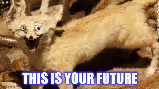 Taxidermy fail | THIS IS YOUR FUTURE | image tagged in taxidermy fail | made w/ Imgflip meme maker