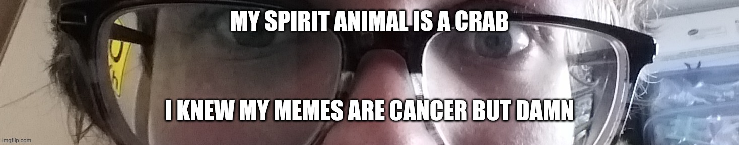 He stare | MY SPIRIT ANIMAL IS A CRAB; I KNEW MY MEMES ARE CANCER BUT DAMN | image tagged in he stare | made w/ Imgflip meme maker