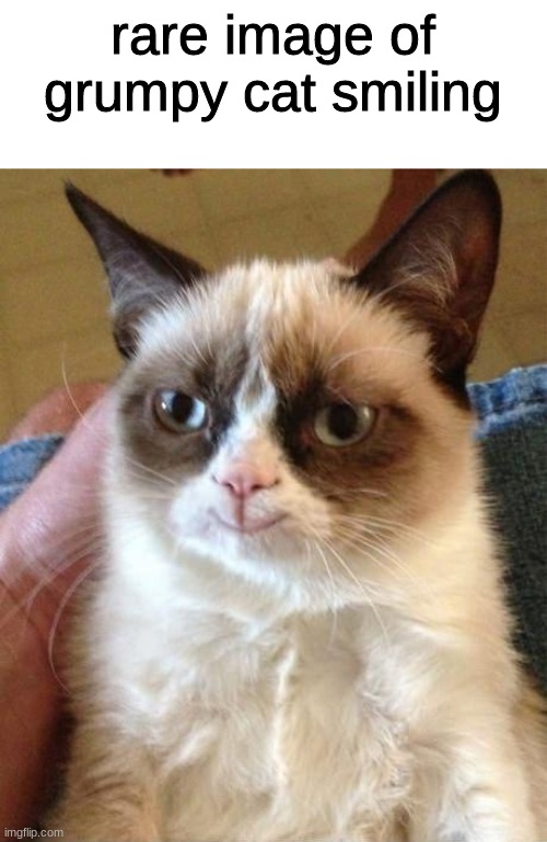 ultra rare | rare image of grumpy cat smiling | image tagged in grumpy cat smile | made w/ Imgflip meme maker