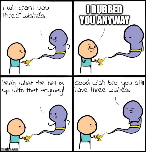 3 Wishes | I RUBBED YOU ANYWAY | image tagged in 3 wishes | made w/ Imgflip meme maker