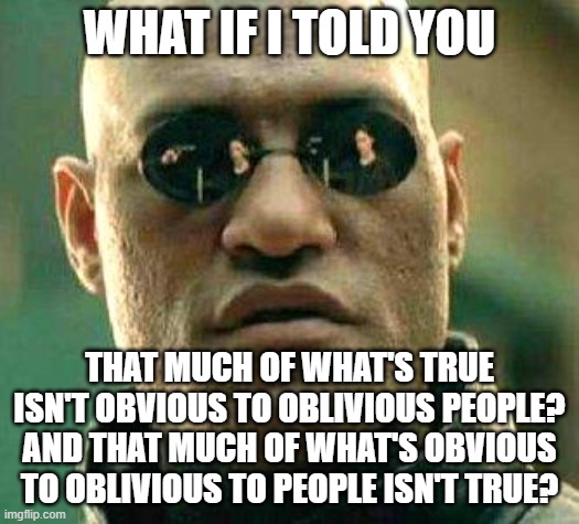 Is This Not Obvious To You? | WHAT IF I TOLD YOU; THAT MUCH OF WHAT'S TRUE ISN'T OBVIOUS TO OBLIVIOUS PEOPLE? AND THAT MUCH OF WHAT'S OBVIOUS TO OBLIVIOUS TO PEOPLE ISN'T TRUE? | image tagged in what if i told you,captain obvious,oblivious,truth,perspective,obvious | made w/ Imgflip meme maker