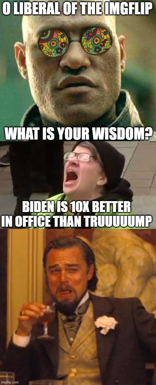 Yes, I had someone tell me that. |  O LIBERAL OF THE IMGFLIP; WHAT IS YOUR WISDOM? BIDEN IS 10X BETTER IN OFFICE THAN TRUUUUUMP | image tagged in acid kicks in morpheus,screaming liberal,memes,laughing leo,donald trump,joe biden | made w/ Imgflip meme maker